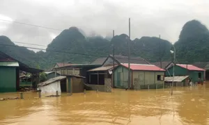 Hơn 400 nhà dân ở vùng núi Quảng Bình ngập sâu